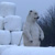 befremdliche Eisbär-Deko, Ludwigsburg
